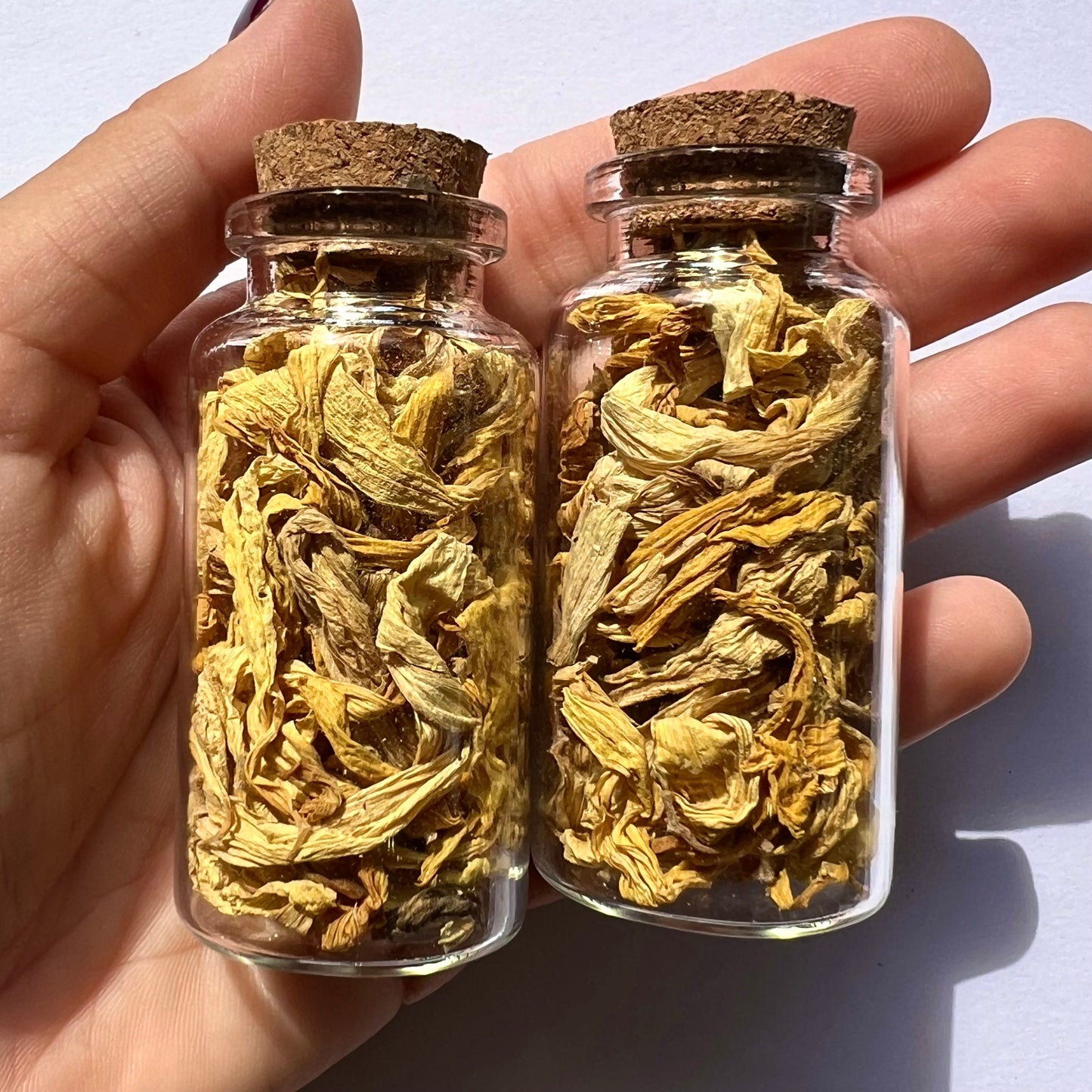 Fiole de Tournesol / Herbal Witch Bottle