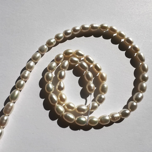 Fil de perles d'eau douce en 5,5mm