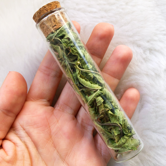 Tube de Verveine Citronnelle / Herbal Witch Bottle