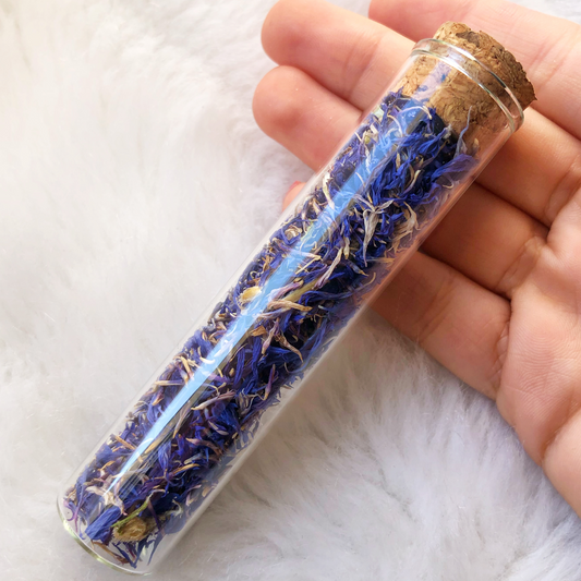 Tube de Bleuet Bleu / Herbal Witch Bottle
