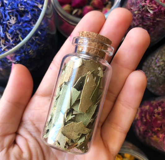 Fiole Eucalyptus / Herbal Witch Bottle