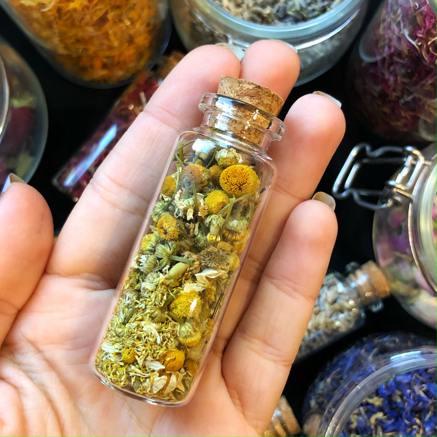 Fiole de Camomille / Herbal Witch Bottle