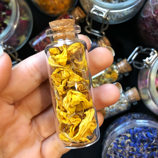 Fiole de Tournesol / Herbal Witch Bottle